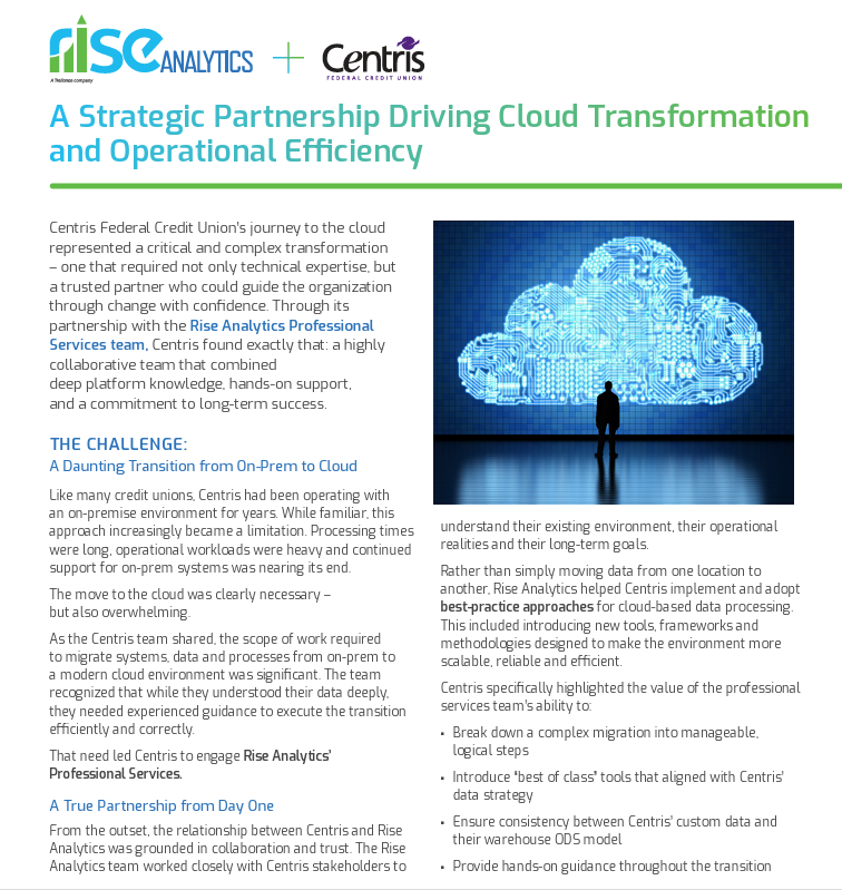 Rise Analytics - Case Study Preview - Centris - Strategic Partnership