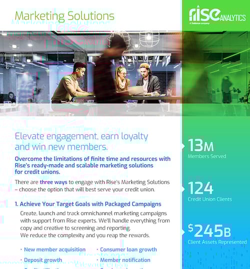 Rise Analytics Marketing Solutions - Preview