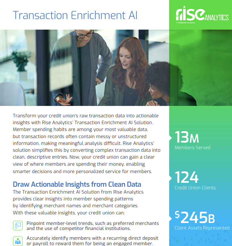 Transaction Enrichment AI