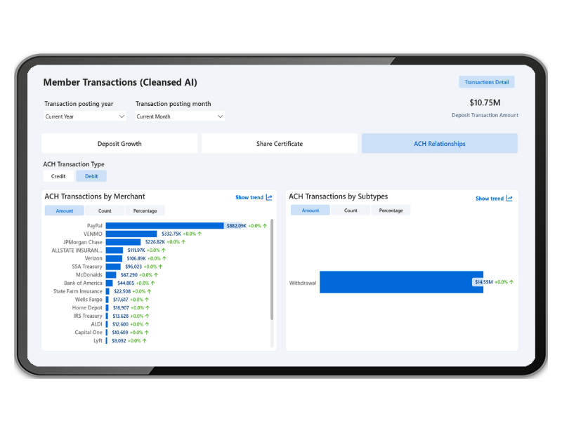 Transaction Cleansing with Rise Analytics